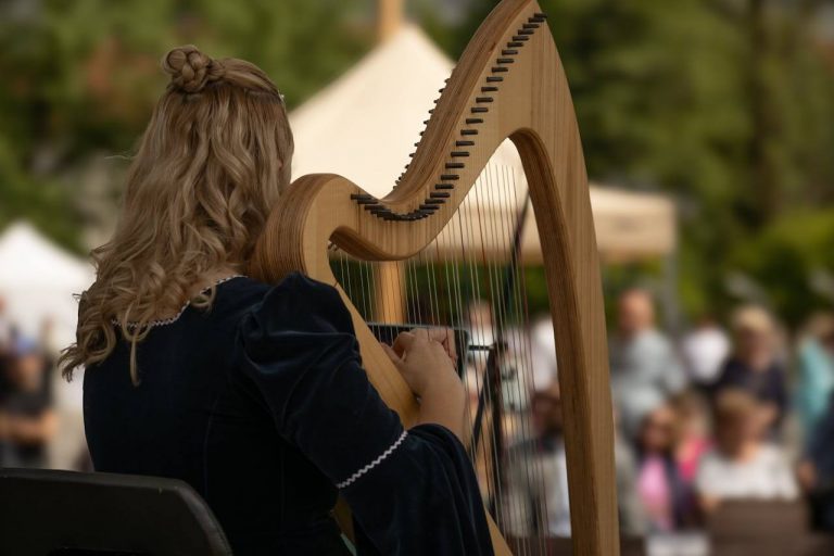 Talking Harp Free Virtual Harp Video Lessons for Young People in Swansea - Swansea ...