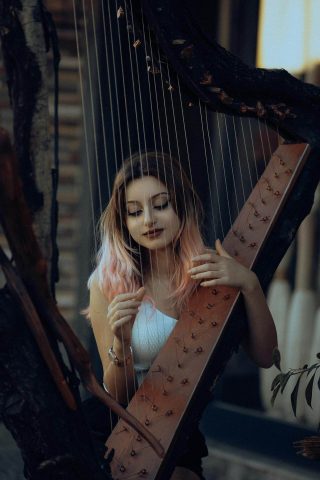 Another Woman Playing the Harp Another Woman Playing the Harp