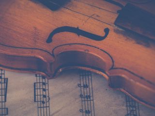 Viola